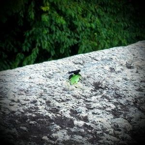 Meet your Posher, Alethia